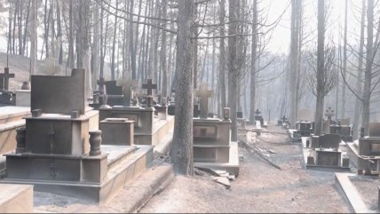   Incendio forestal arrasó con un cementerio y varias viviendas en el noreste de Grecia 
