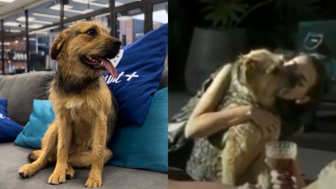 ¿Se lo lleva Coni? Producción de Gran Hermano tomó decisión sobre el futuro de Bigote