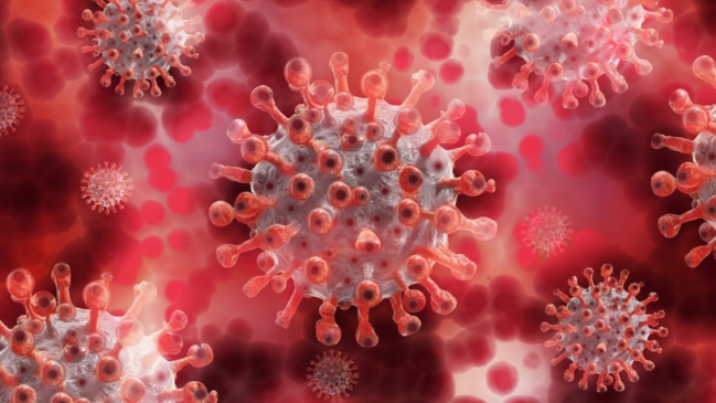 La OMS pide a los países que mantengan la vigilancia del Covid-19