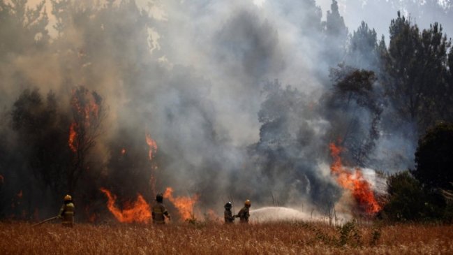 Megaincendios: Gobierno reconoció lentitud en entrega de viviendas a damnificados en La Araucanía