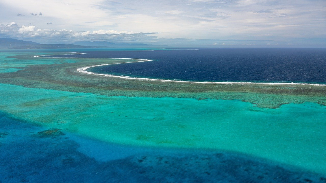 Calentamiento del mar pondrá en jaque la supervivencia de manglares y arrecifes de coral
