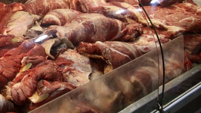 Salud decomisó cuatro toneladas de carne vencida desde un contenedor en Antofagasta