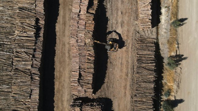 Cayó un capo del robo de madera: Manejaba armas y explosivos