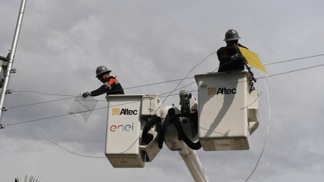 Enel: Fallas eléctricas por uso de hilo curado han aumentado 37% este año