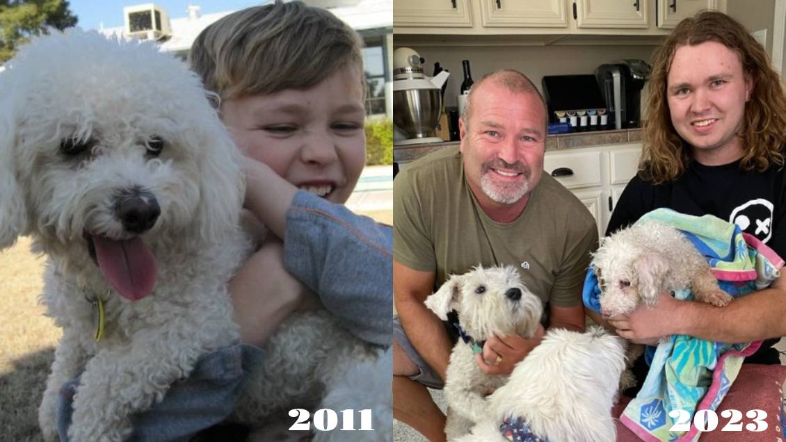 Perrito se reencuentra con su familia tras estar 12 años perdido