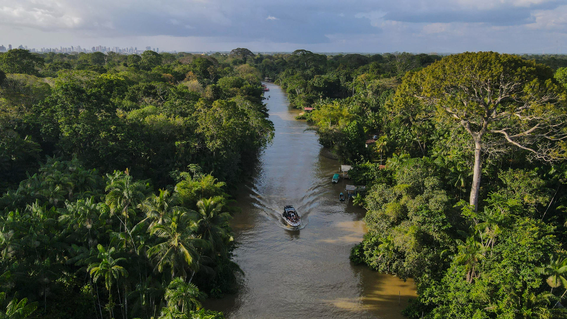 Deforestación en la Amazonía brasileña alcanzó su menor cifra desde 2018