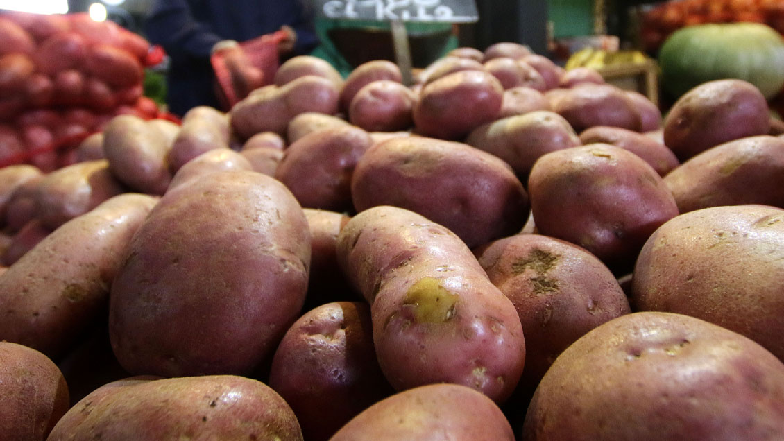 Inflación de agosto sorprende con alza menor a la esperada: 0,1%