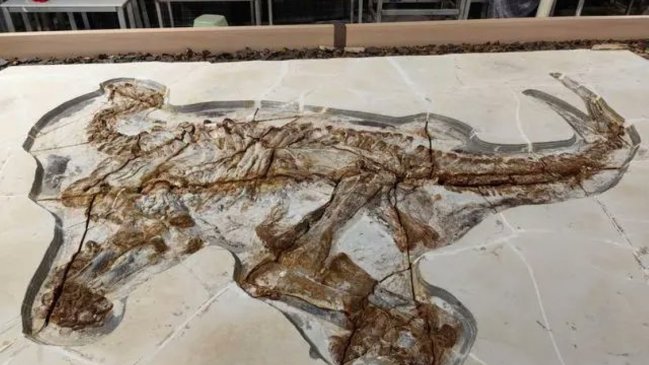 Descubren fósiles de dinosaurios de 130 millones de años en norte de China