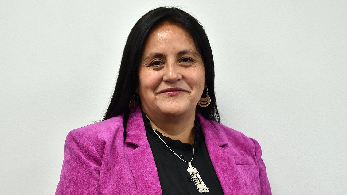 Gobierno exigió renuncia a seremi de Educación de La Araucanía