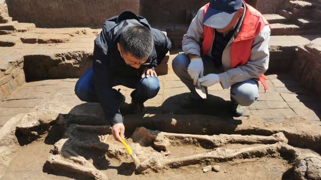China Hoy: Los orígenes de la civilización china