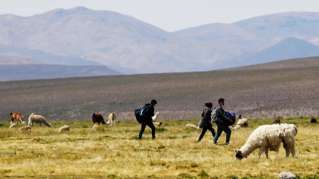 Comisión aprobó proyecto que tipifica como delito el ingreso clandestino al país
