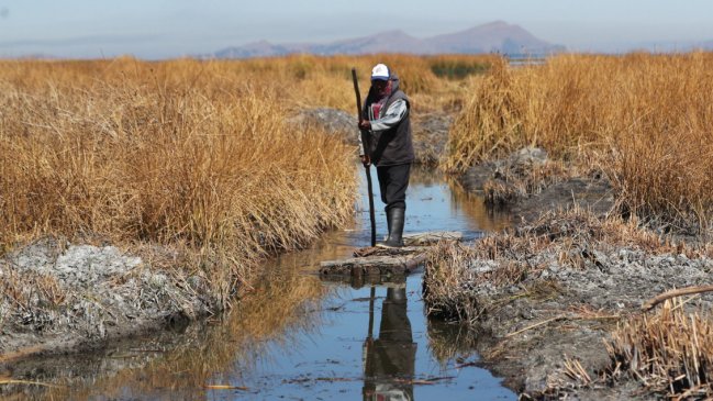 Nivel del lago Titicaca marcó su mínimo histórico