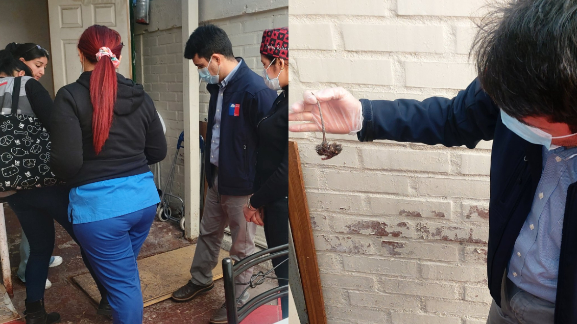 Malos tratos y cadáveres de ratones: Clausuran hogar de ancianos en San Miguel