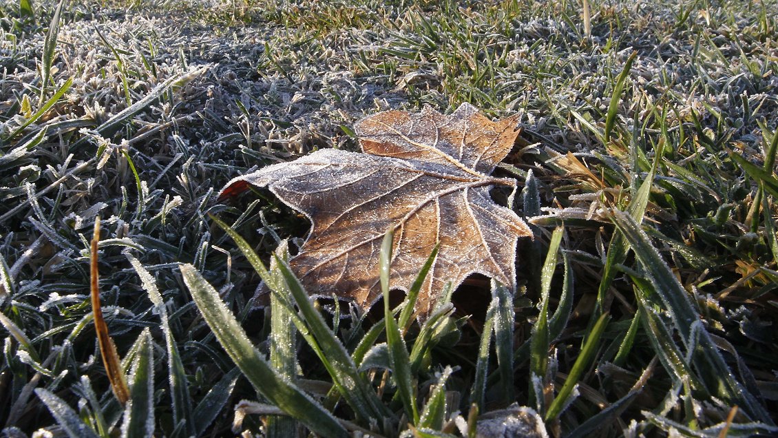 Meteorología advirtió sobre heladas entre las regiones del Maule y Los Lagos