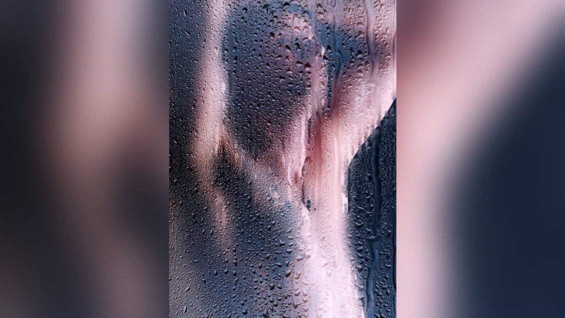 Nueva ley: El agua de la ducha podrá usarse para riego agrícola