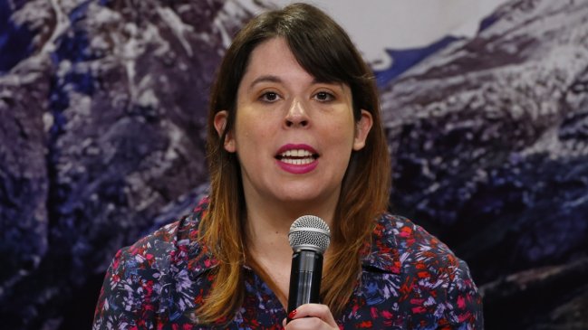 Homicidios en Santiago: Delegada cree que 