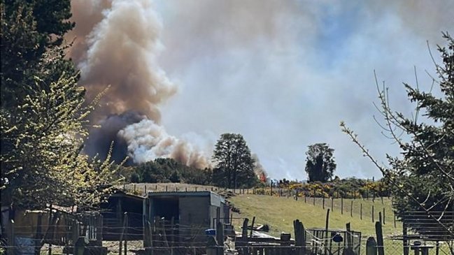 Delegación Presidencial declara alerta roja por incendio forestal en Castro