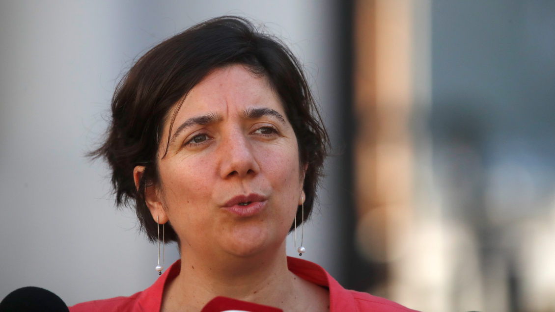 Etcheverry desdramatizó desistimiento de Sinovac: Su presencia en Chile tiene varias aristas