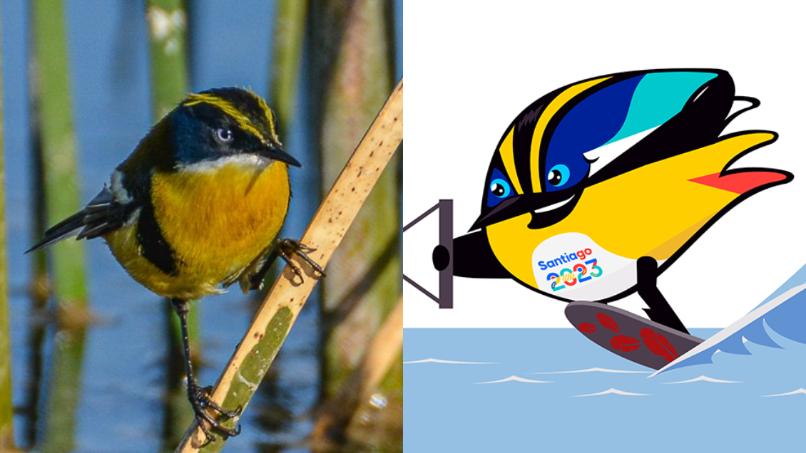 SAG destacó la importancia de cuidar a Fiu y su hábitat