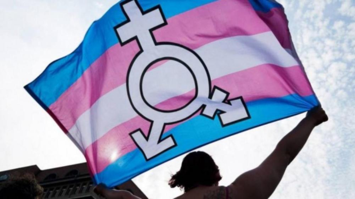 Minsal deberá ajustar sus protocolos sobre transición física y hormonal