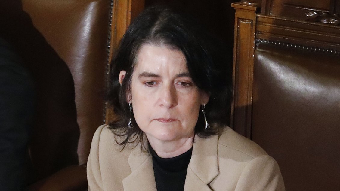 Experta: Si gana el En Contra, habrá que solucionar los problemas específicos de la Constitución vigente