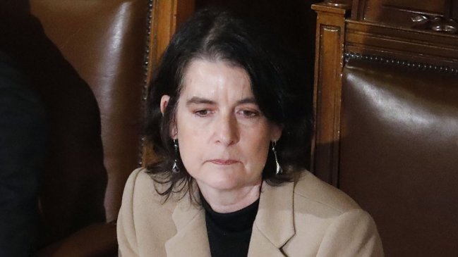 Experta: Si gana el En Contra, habrá que solucionar los problemas específicos de la Constitución vigente