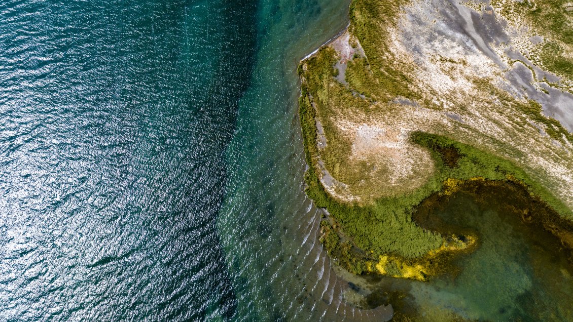 Clima extremo podría favorecer invasión de especies exóticas, según estudio