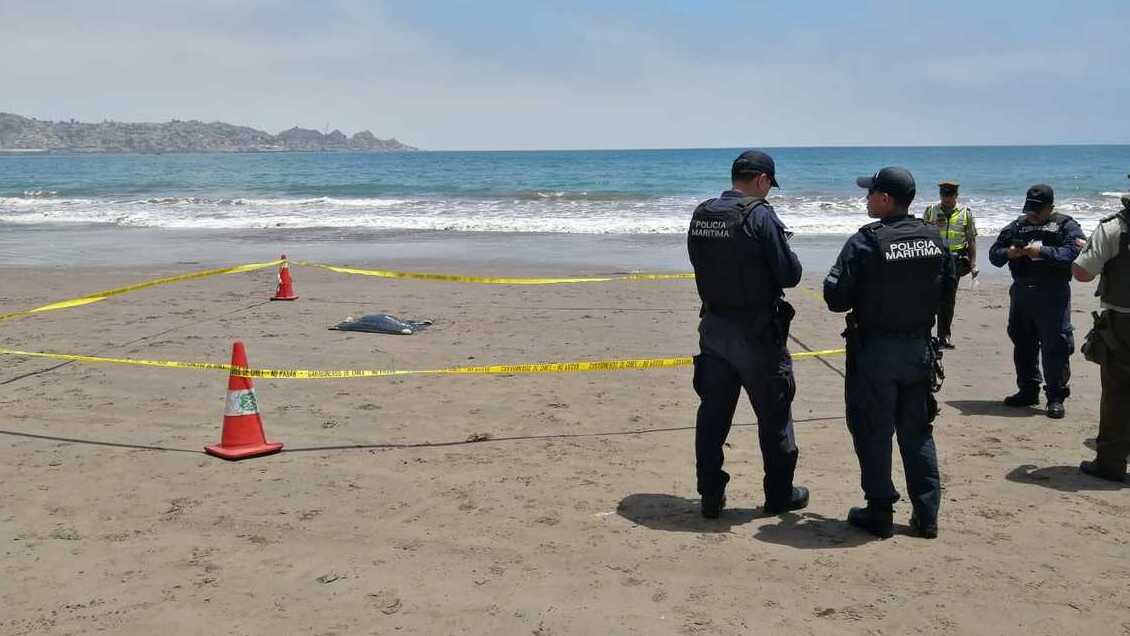 Por tercer día consecutivo reportan hallazgo de restos humanos en Coquimbo