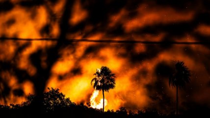   El fuego devora el Pantanal brasileño, el mayor humedal del planeta 