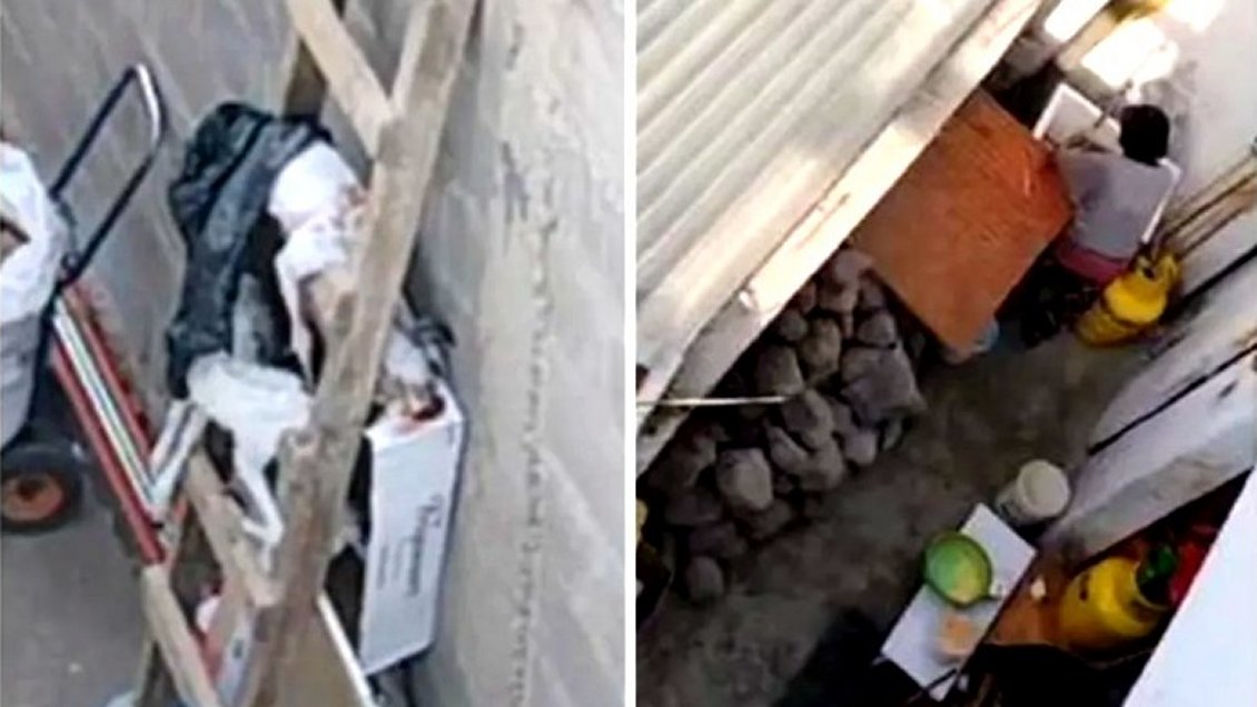 Minsal sumarió a restorán denunciado por supuesto faenamiento de perros