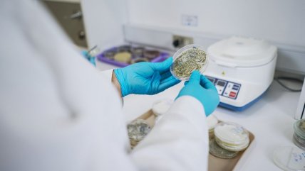   Ministerio de Ciencias financiará proyectos para desarrollo agroalimentario sostenible 