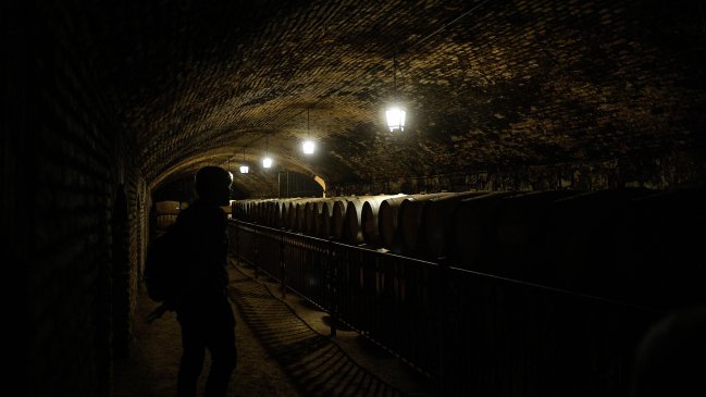 Viña chilena quiere 