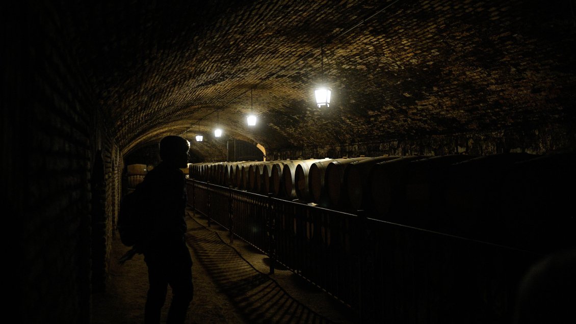 Viña chilena quiere 