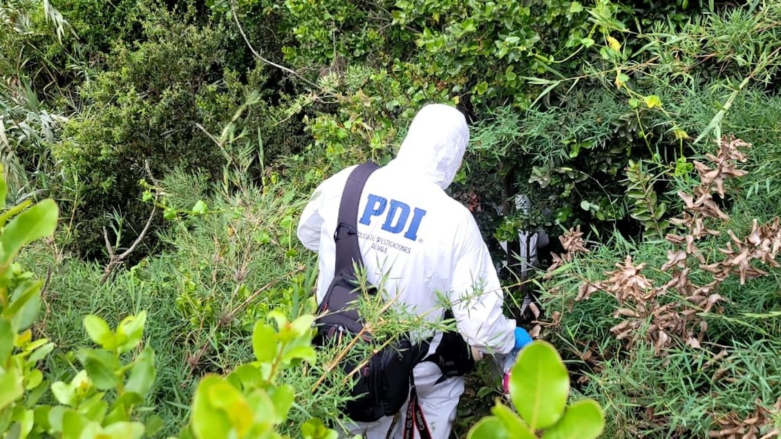 Niños hallaron cadáver en descomposición en una quebrada de Viña del Mar