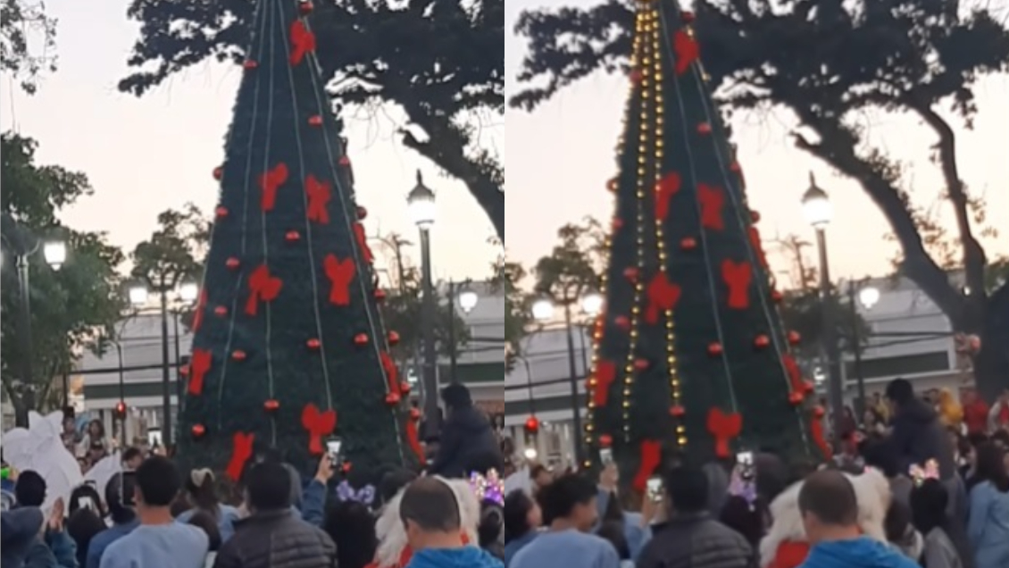 Árbol navideño en Melipilla se hizo viral tras pesados comentarios
