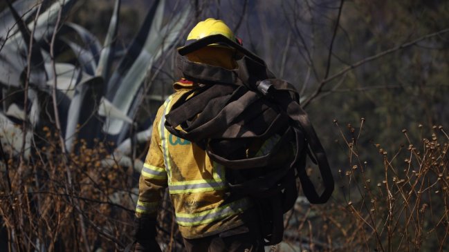 Caída de rayos en Lonquimay causó dos incendios forestales
