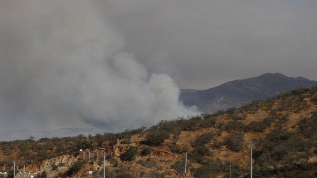 De alerta roja a amarilla: Incendio en Villa Alemana está bajo control