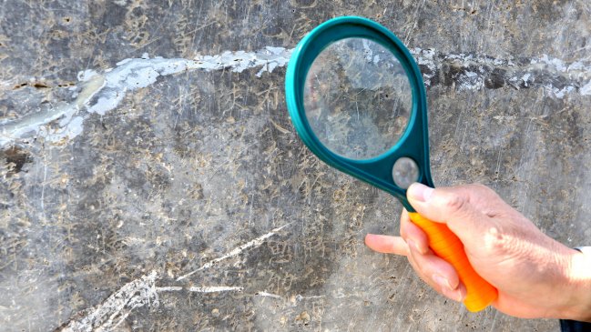 Hallan en China una botella de hace más de 7.000 años, la más antigua de su tipo