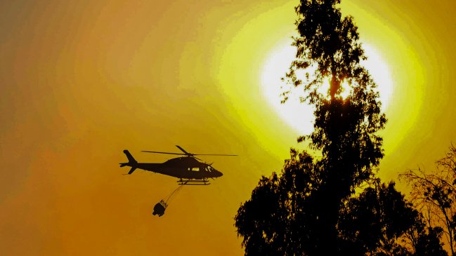 Incendio forestal: Piden evacuar sector de Marchigüe