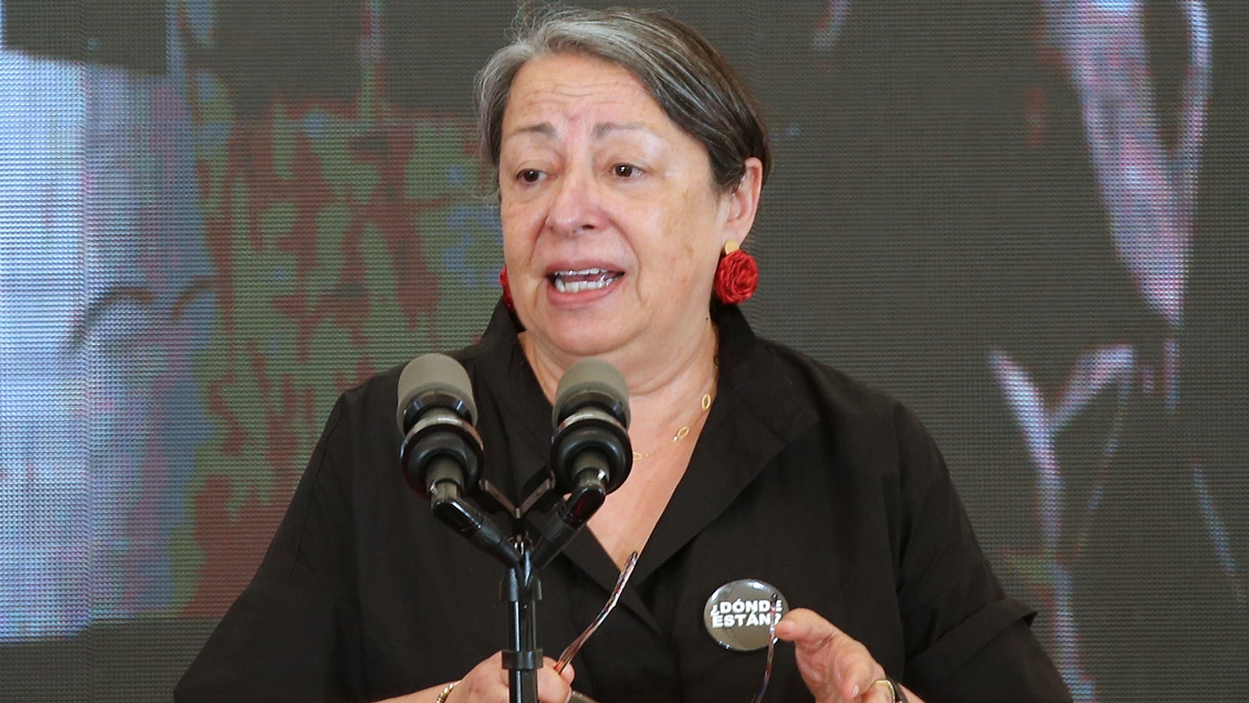 Macrozona Sur: Directora del INDH propuso mesa de diálogo que incluya a la CAM