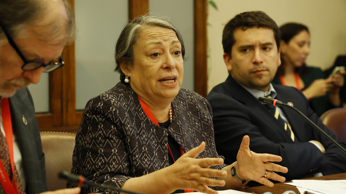 Oposición y gremios agrícolas arremeten contra idea del INDH de dialogar con la CAM