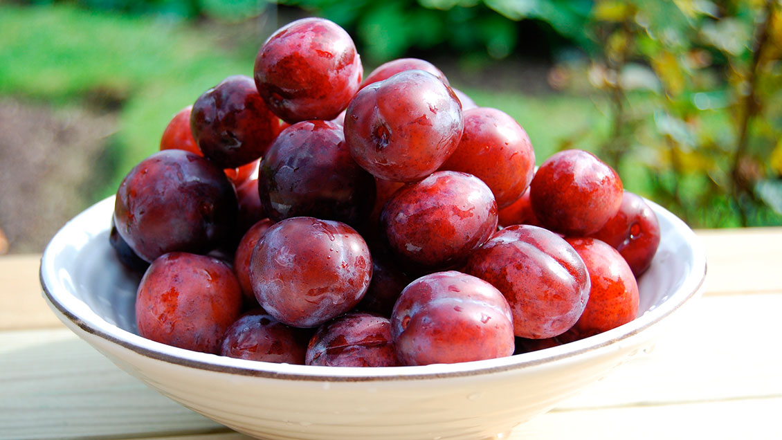 Exportaciones de carozos chilenos al alza con más de 30 millones de cajas para esta temporada