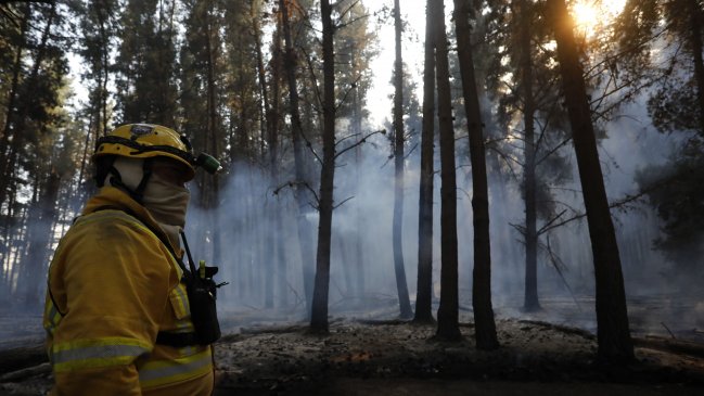 Alerta roja en la comuna de Valparaíso por incendio forestal