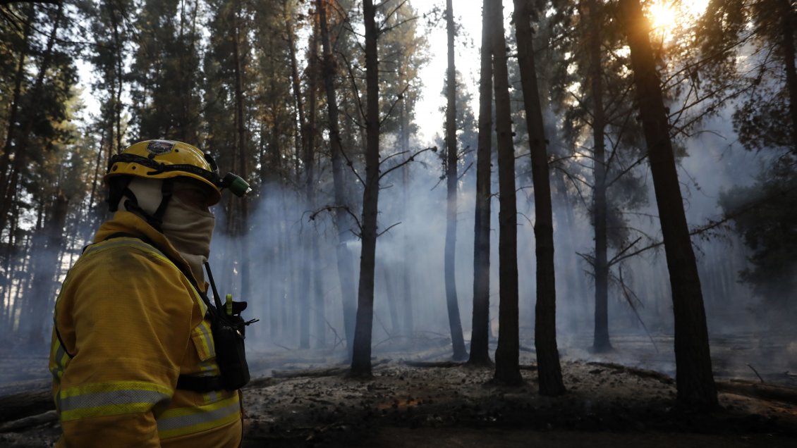 Alerta roja en la comuna de Valparaíso por incendio forestal