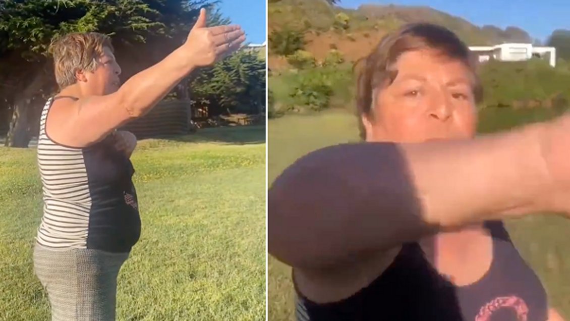 Tras denuncia viral, Bienes Nacionales fiscalizó accesos al Lago Budi