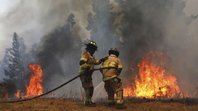 Número de incendios forestales fue casi igual en 2022 y 2023, pero superficie quemada aumentó 156%