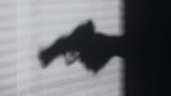 Fiscalía investiga incidente que terminó con adolescente baleado en la cabeza en Coyhaique