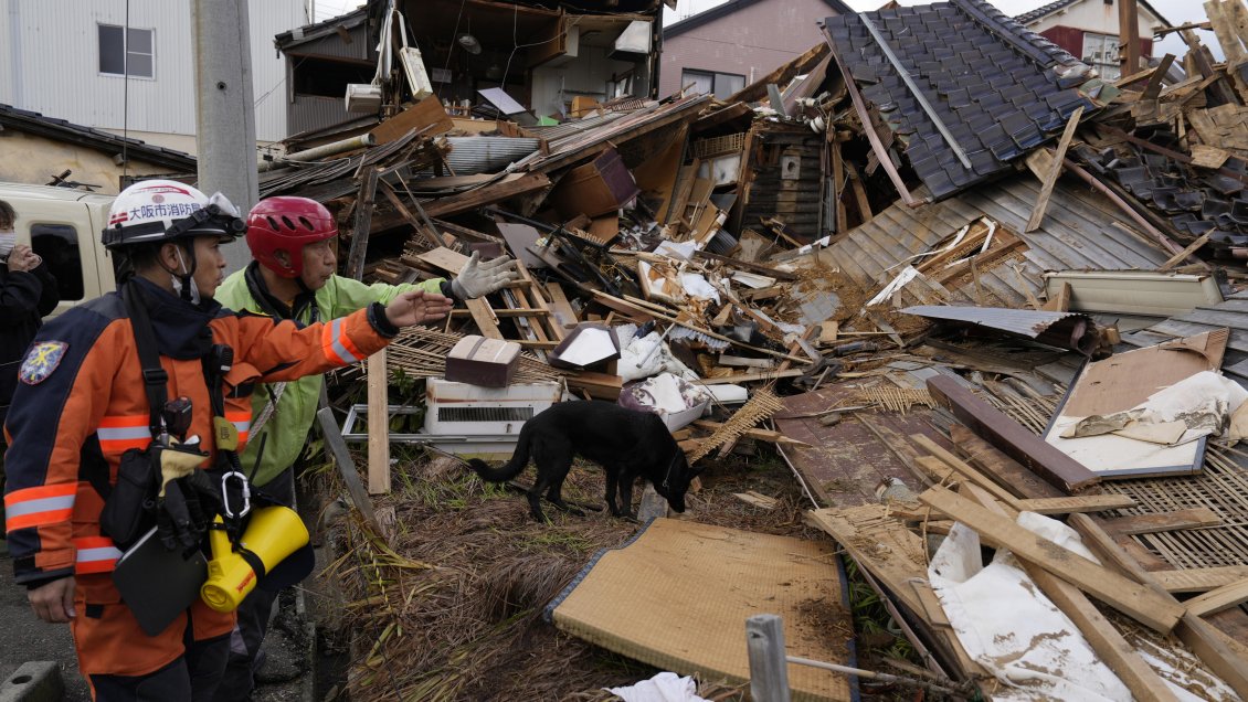 Después de 72 horas, perro rescató a adulta mayor atrapada en escombros del terremoto de Japón