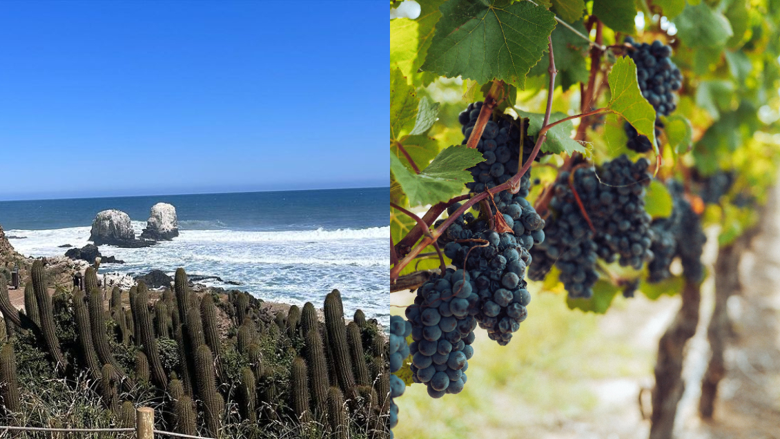 New York Times eligió a la Región de O’Higgins como uno de los 52 lugares para visitar en 2024