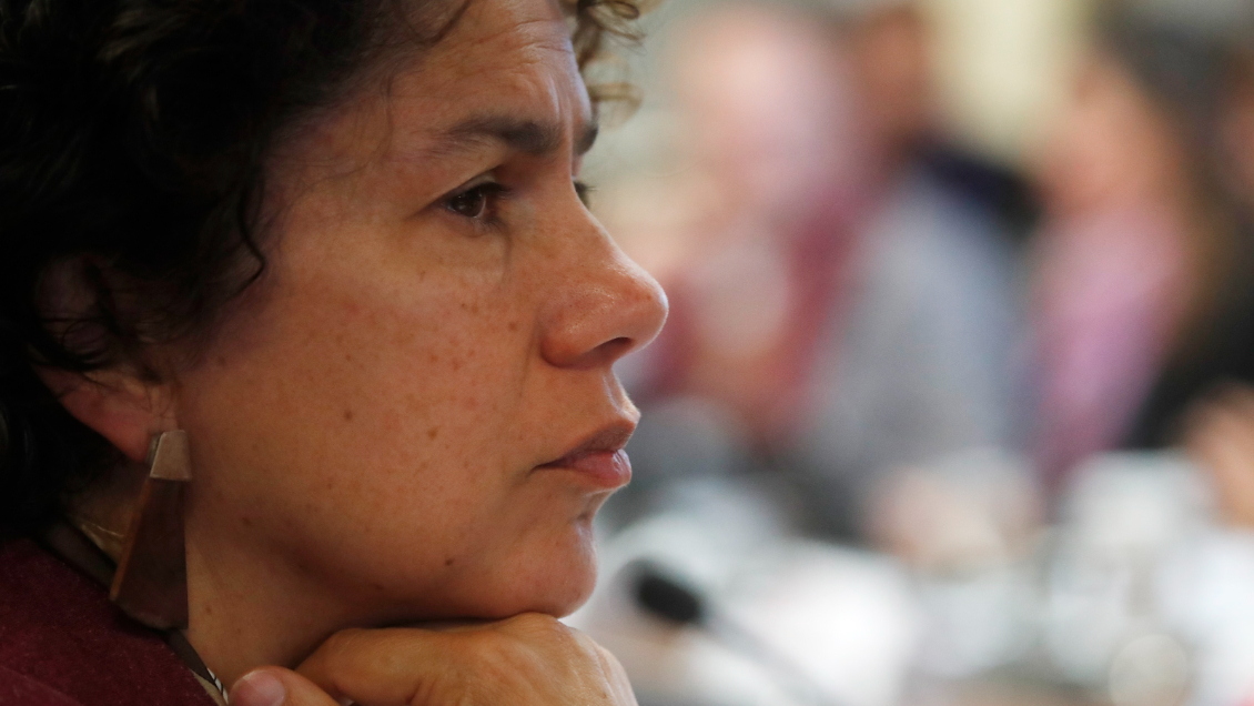 Ministra Rojas declaró que 